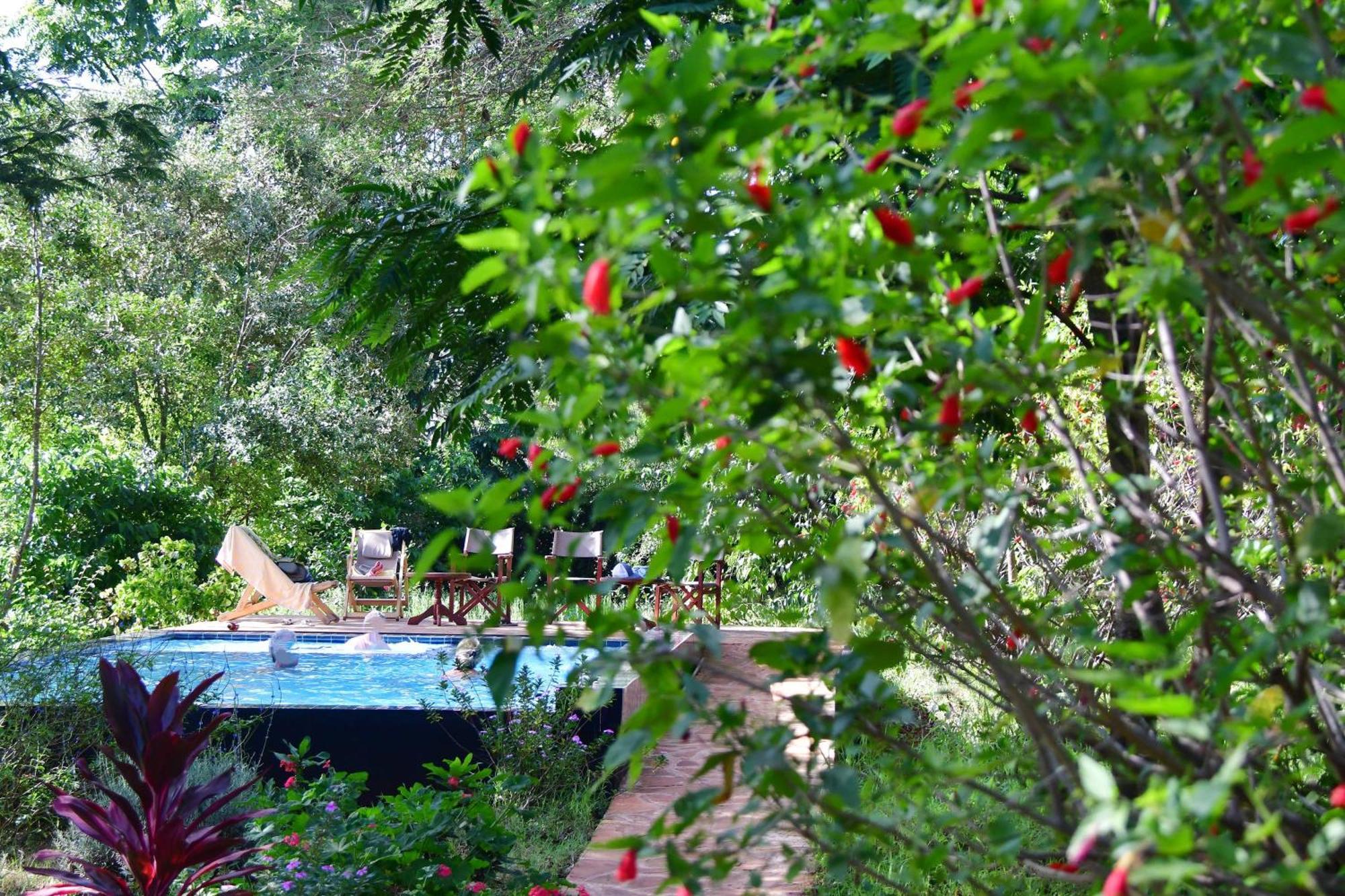 Tanzanice Farm Lodge Karatu Esterno foto
